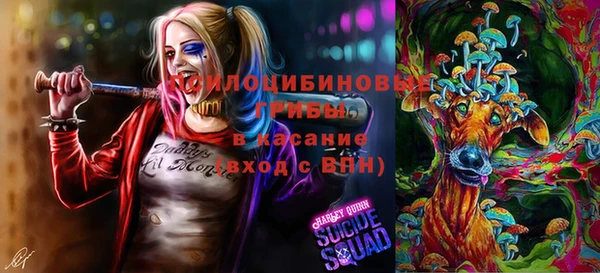 mdpv Арсеньев