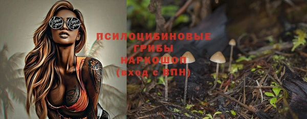 мяу мяу мука Аркадак