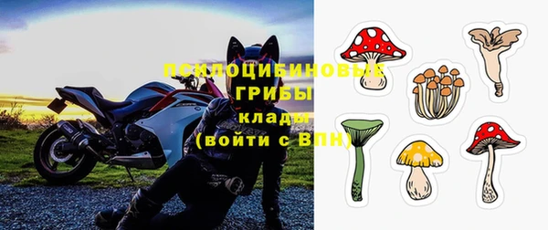 мяу мяу мука Аркадак