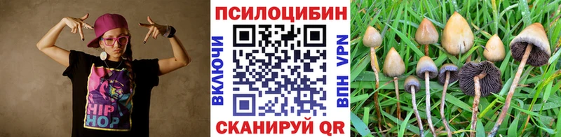 Галлюциногенные грибы Psilocybine cubensis  продажа наркотиков  Чернушка 